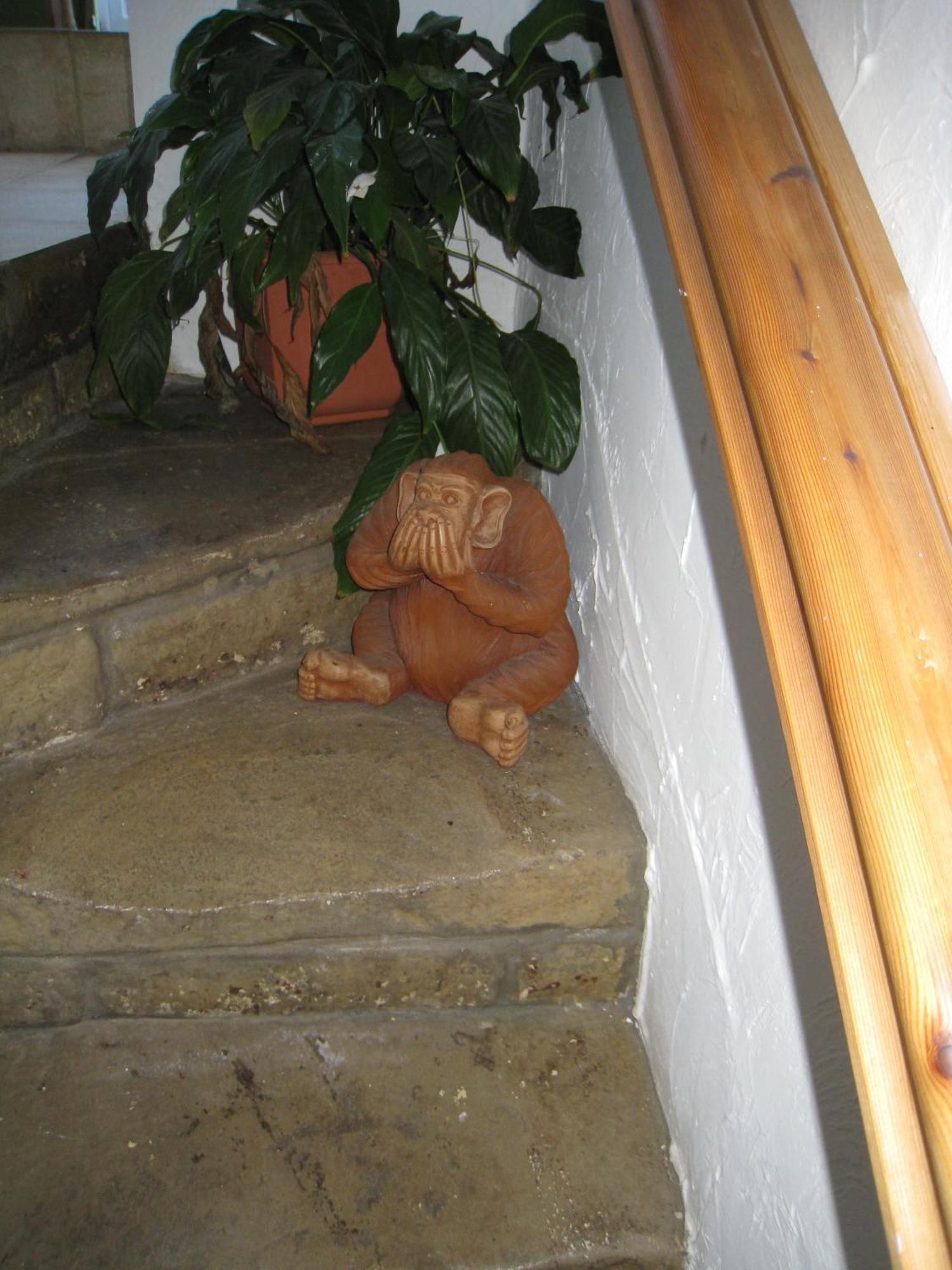Rosebud Cottage Guest House 호어스 외부 사진